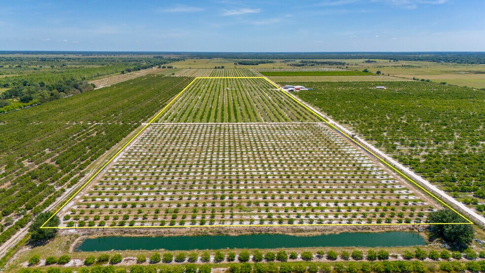 Hwy 31, Arcadia, FL à vendre - Aérien - Image 2 de 12