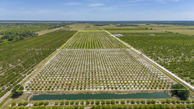 Hwy 31, Arcadia, FL - Aérien  Vue de la carte - Image1