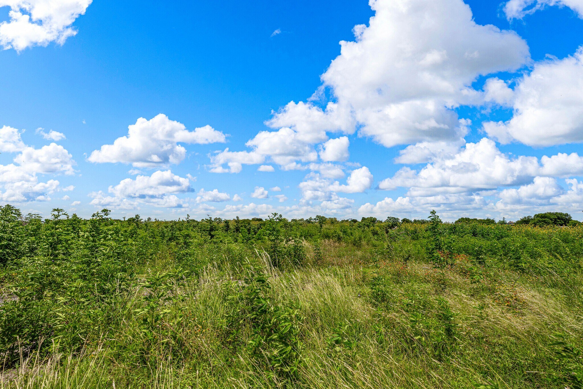 To Be Determined N 18th Street, Waco, TX à vendre Photo principale- Image 1 de 24