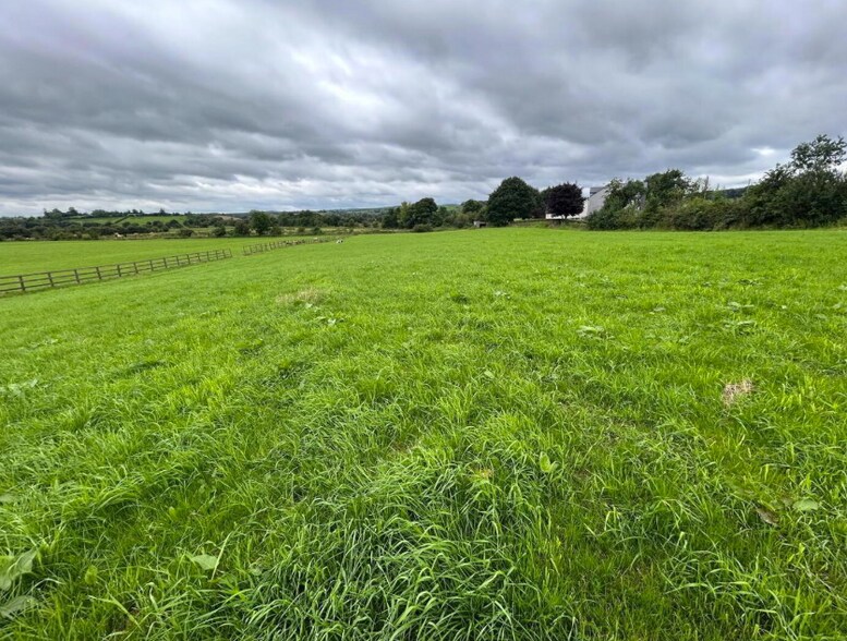 9 Ravella Rd, Aughnacloy à vendre - Autre - Image 2 de 3