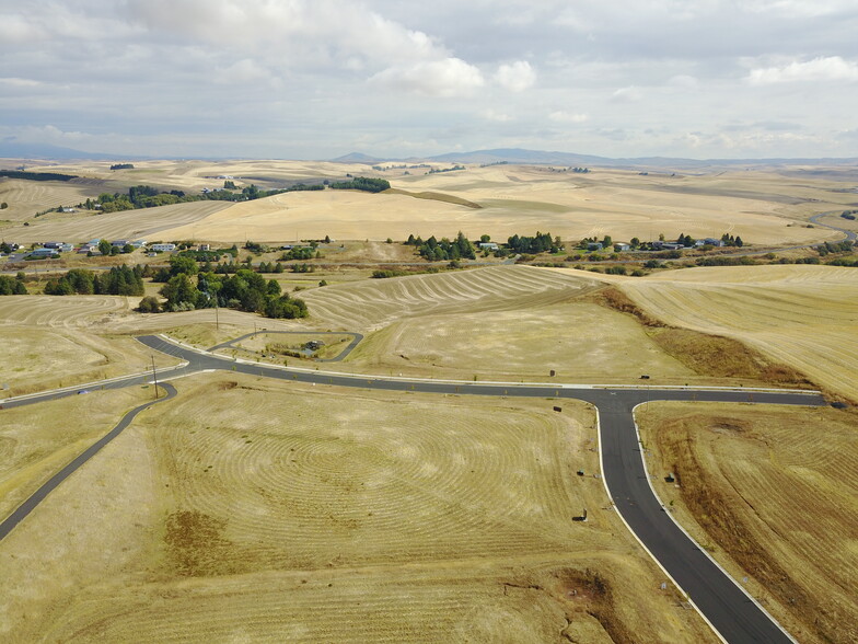 1043 & 1051 Bypass Drive, Pullman, WA for sale - Aerial - Image 2 of 6