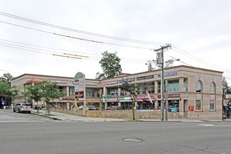 More details for 248-12 Northern Blvd, Little Neck, NY - Retail for Lease
