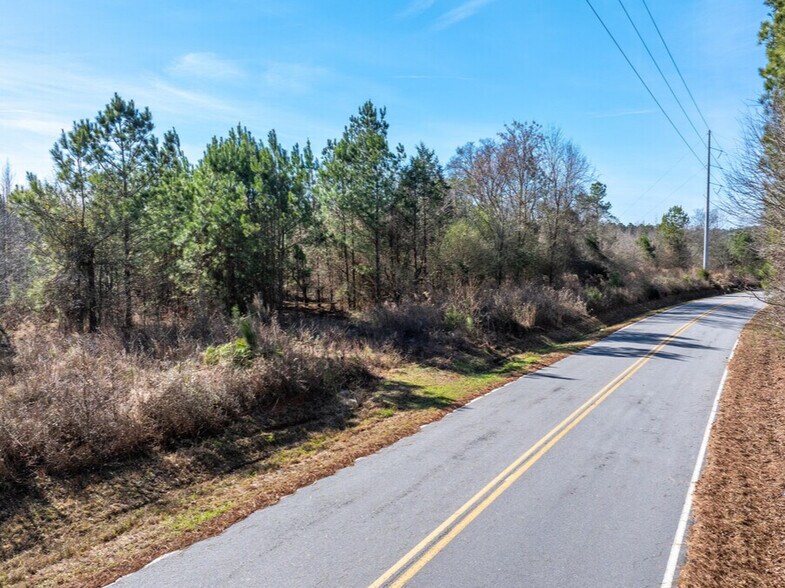 2071 Leslie Mill Rd, Greensboro, GA à vendre - Aérien - Image 2 de 32