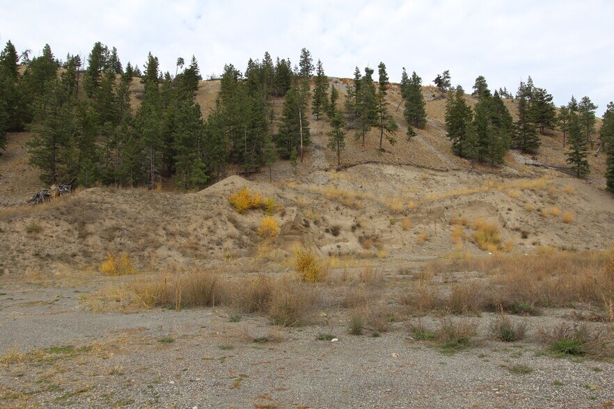 7329 Douglas Lake Rd, Thompson-Nicola, BC for sale - Building Photo - Image 3 of 4