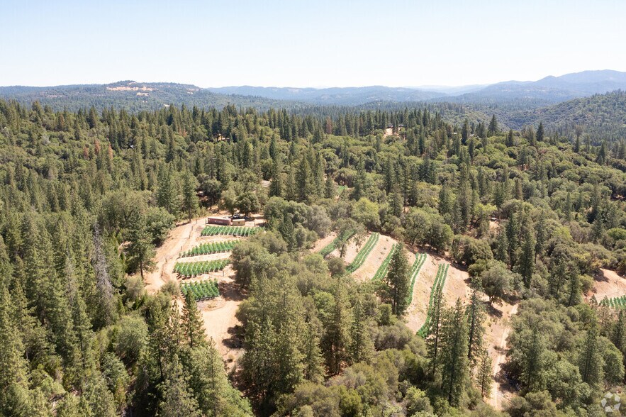 2883 N Railroad Flat Rd, Wilseyville, CA à vendre - Aérien - Image 3 de 45