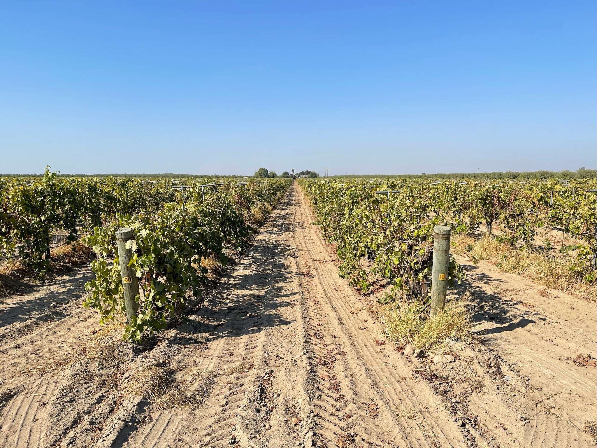 24706 Avenue 8, Madera, CA for sale Primary Photo- Image 1 of 17