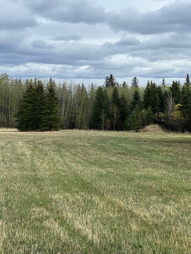 Plus de détails pour Plan: 9720341 Lot: 3, Grande Prairie, AB - Terrain à vendre