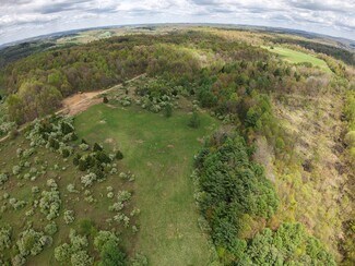 Plus de détails pour 0 Lower Mudlic rd, Mayport, PA - Terrain à vendre