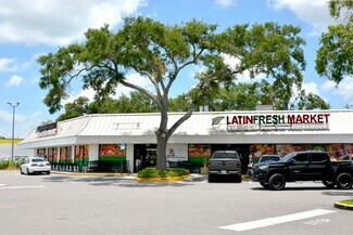 Plus de détails pour 4303-4349 Gunn Hwy, Tampa, FL - Commerce de détail à louer