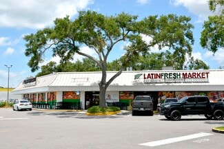 More details for 4303-4349 Gunn Hwy, Tampa, FL - Retail for Lease