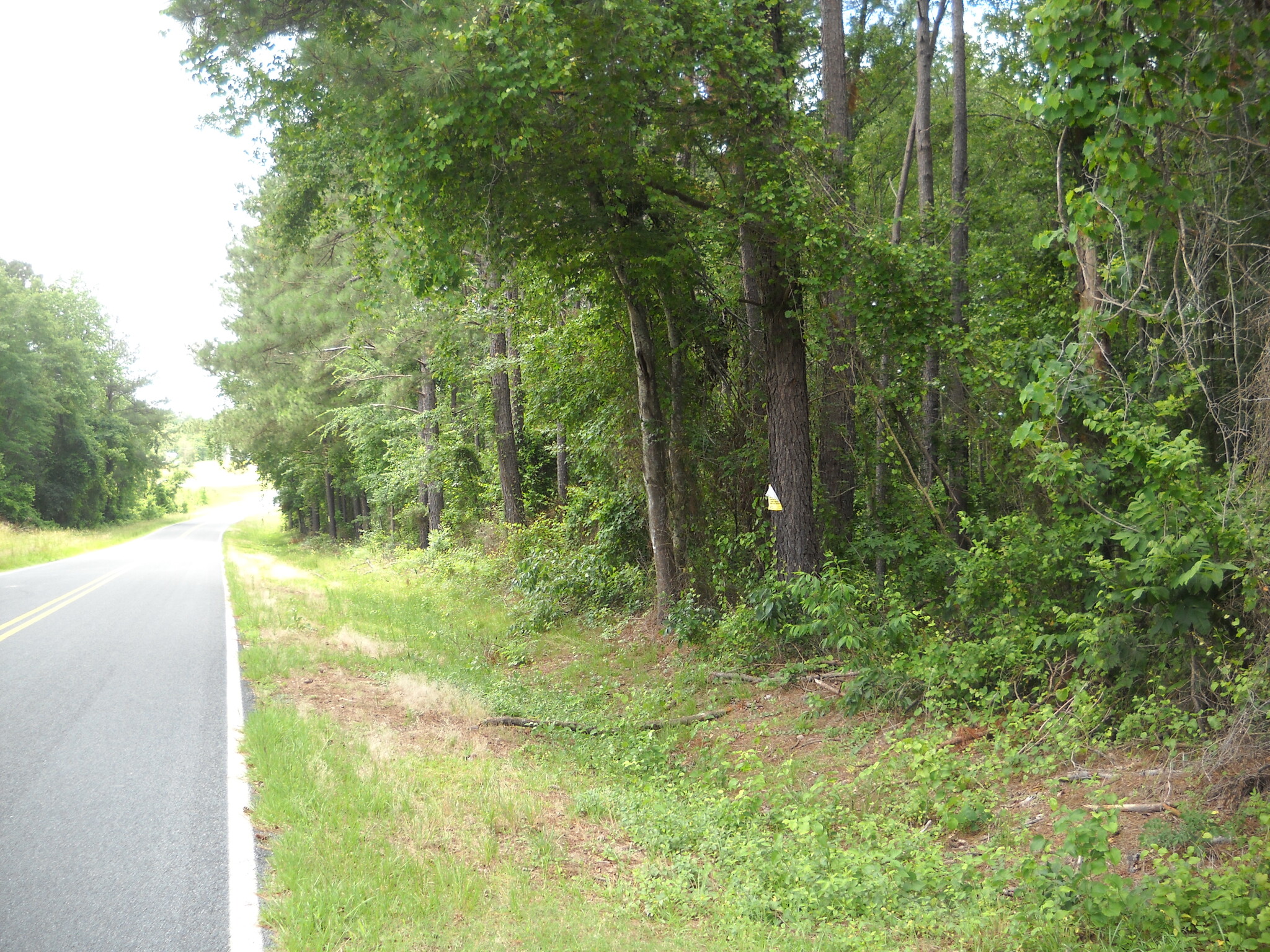 Tbd Scholl Shankle Rd, Hamlet, NC à vendre Photo principale- Image 1 de 1