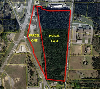 More details for 0000 Hwy 231, Pell City, AL - Land for Sale