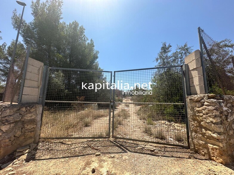 Land in Alberic, Valencia for sale - Primary Photo - Image 1 of 3