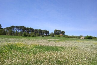 More details for Land for Sale