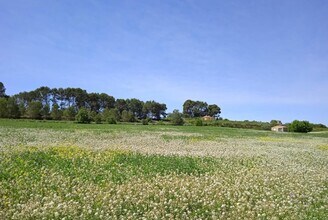 Ip, 09, Agullent, VAL - Aerial  map view - Image1