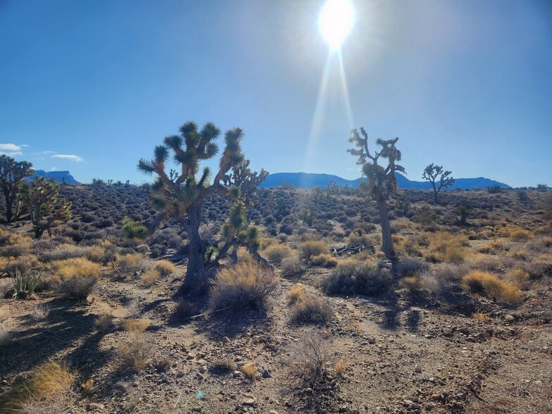 27250 N Pierce Ferry Rd, Meadview, AZ for sale - Other - Image 3 of 19