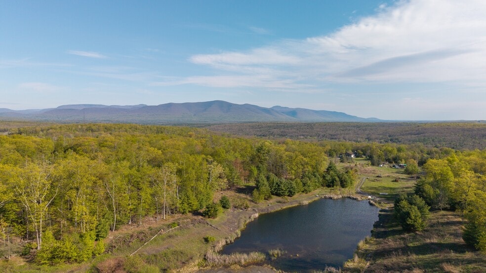 167 Hill Rd, Kingston, NY for sale - Building Photo - Image 2 of 68