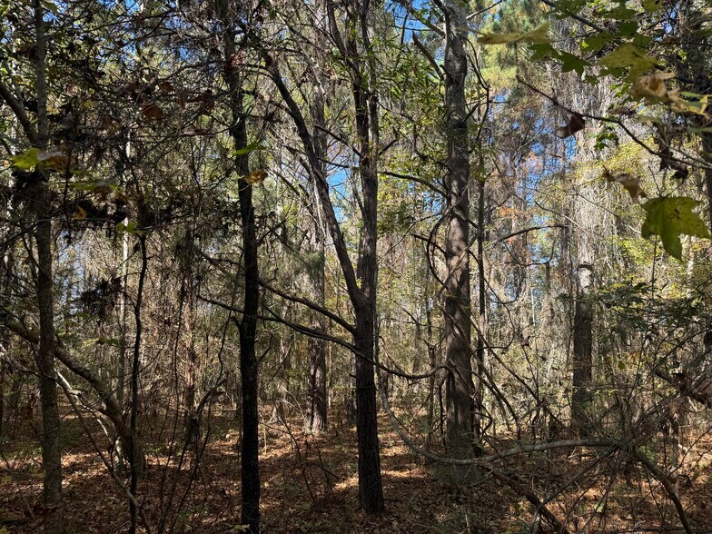 793 Puncheon Creek Dr, Andrews, SC à vendre - Photo du bâtiment - Image 3 de 12