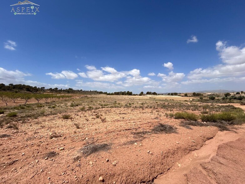 Terrain dans Jumilla, Murcia à vendre - Aérien - Image 3 de 5