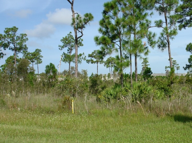 4221 Colonial Blvd, Fort Myers, FL for sale - Primary Photo - Image 1 of 4