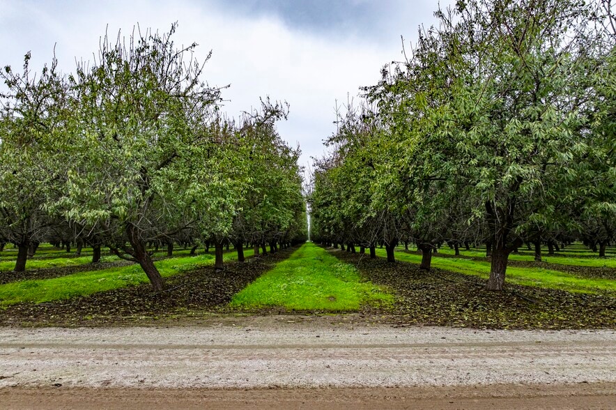 Deer Creek Avenue, Earlimart, CA for sale - Building Photo - Image 2 of 12