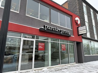 Plus de détails pour 10524 124 St NW, Edmonton, AB - Vente au détail à louer