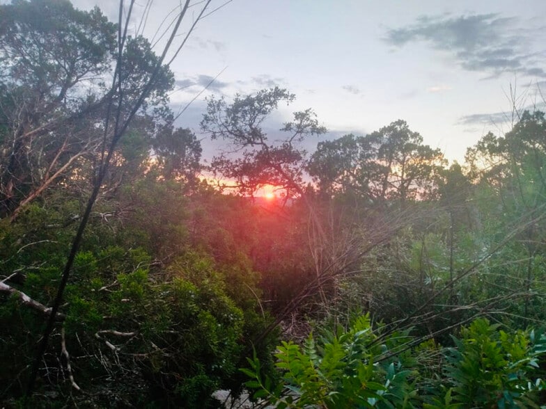 Shady Mountain Rd., Leander, TX for sale - Building Photo - Image 2 of 31