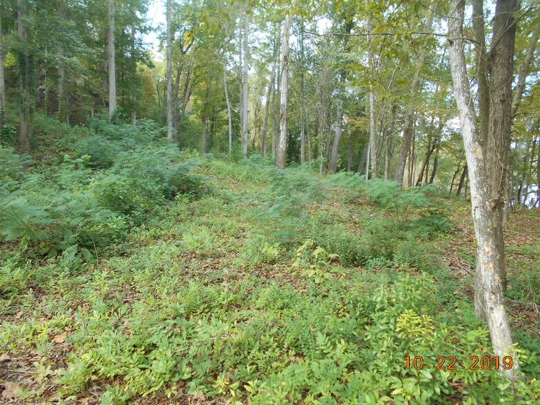 282 Tuckasee King Rd, Clyo, GA à vendre - Autre - Image 2 de 13