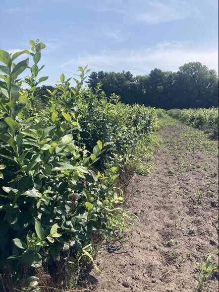 9555 Gast Rd, Bridgman, MI à vendre - Autre - Image 2 de 11