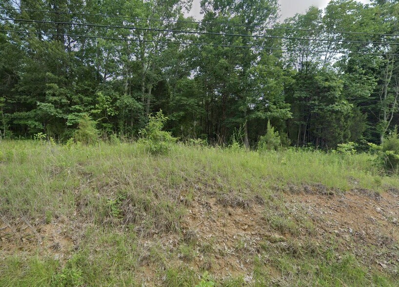 0 Blue Bird Rd, Falls Of Rough, KY à vendre - Photo du bâtiment - Image 3 de 5