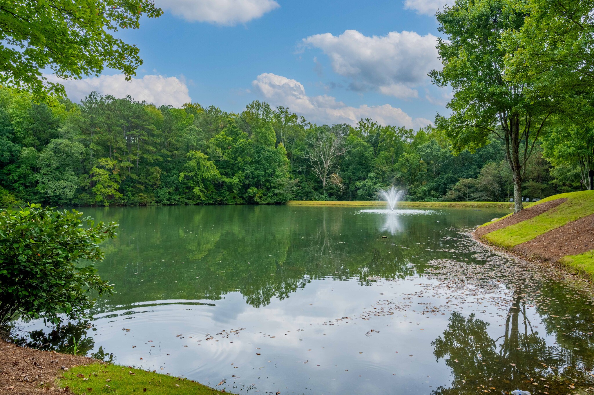 1835 Old Alabama Rd, Roswell, GA à vendre Autre- Image 1 de 18