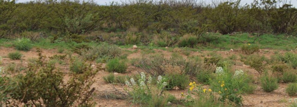 0000 Other, Barstow, TX for sale - Primary Photo - Image 1 of 5