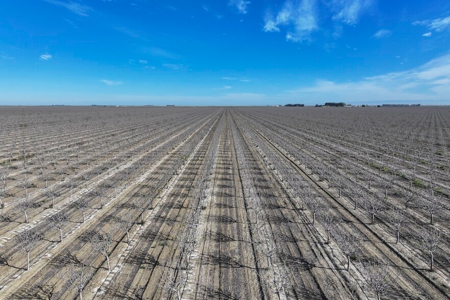 Colusa Avenue, Five Points, CA for sale - Building Photo - Image 2 of 12