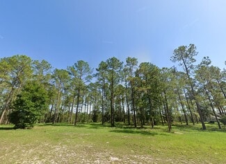 More details for 24135 Greenwood Xing, Eustis, FL - Land for Sale