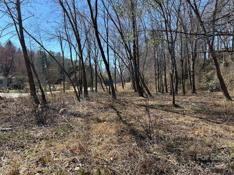 U.S. 64 East I-26 Rd, Hendersonville, NC à vendre - Photo du bâtiment - Image 3 de 5