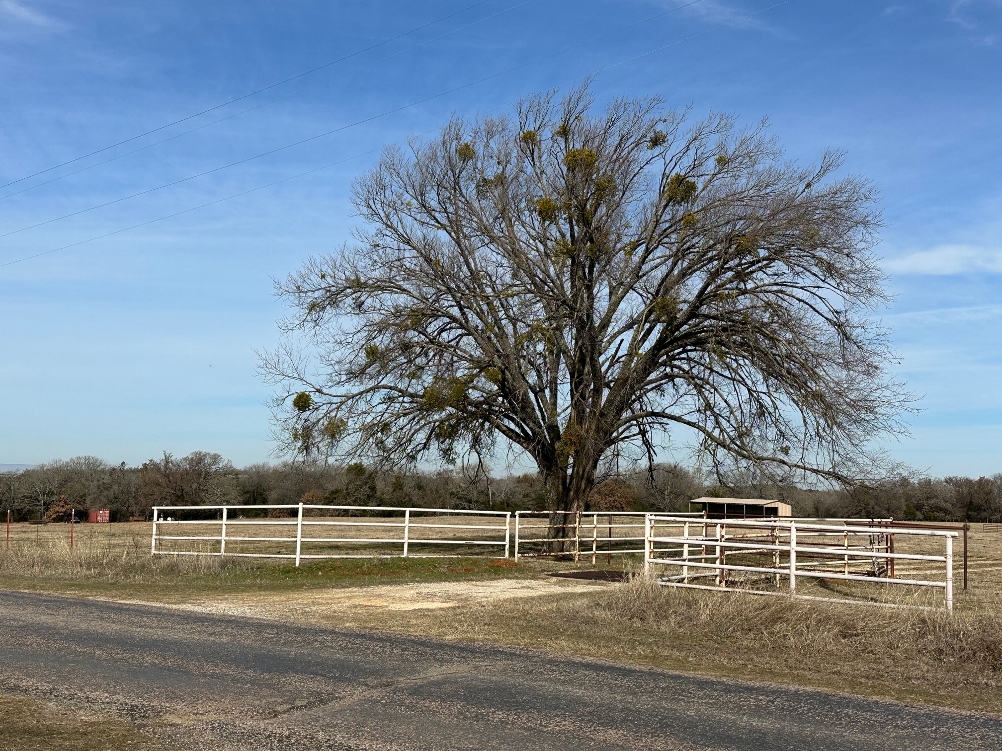 873 Anderson, Whitesboro, TX for lease Primary Photo- Image 1 of 6