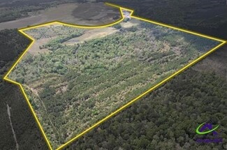 More details for 191 Acres Bethel Church Road, Eastman, GA - Land for Sale