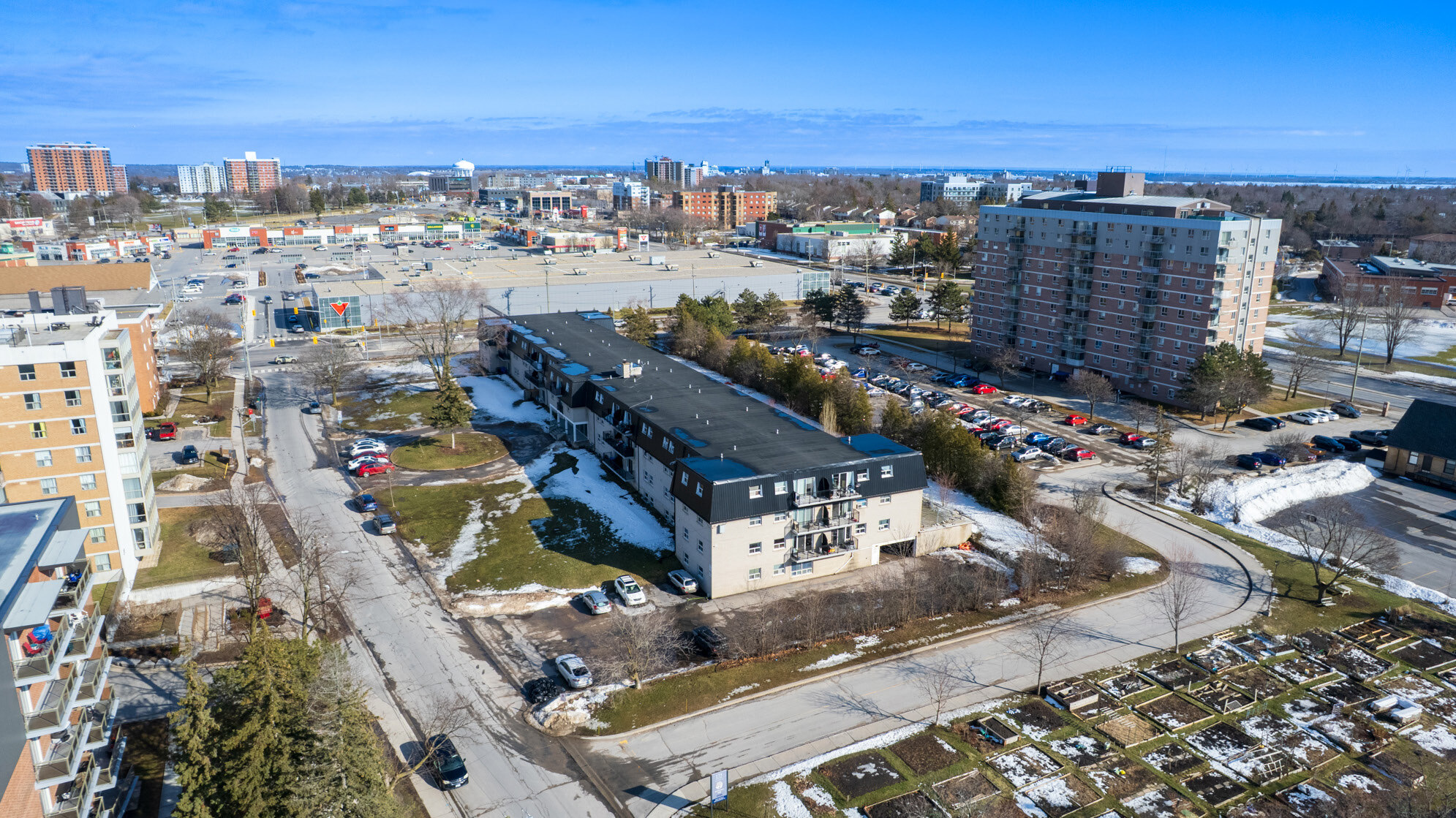 20 Elmwood St, Kingston, ON à vendre Photo du bâtiment- Image 1 de 9