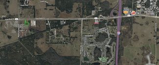 Plus de détails pour SR 52 near Bellamy Bros and Hwy 75, San Antonio, FL - Terrain à vendre