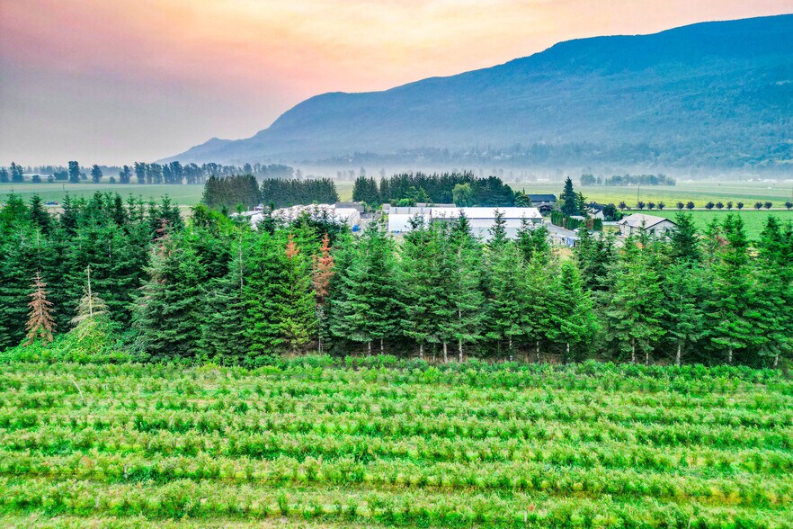 3387 Tolmie Rd, Abbotsford, BC à vendre - Photo principale - Image 1 de 47