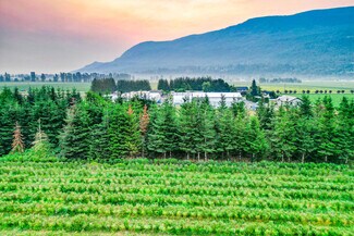 Plus de détails pour 3387 Tolmie Rd, Abbotsford, BC - Terrain à vendre