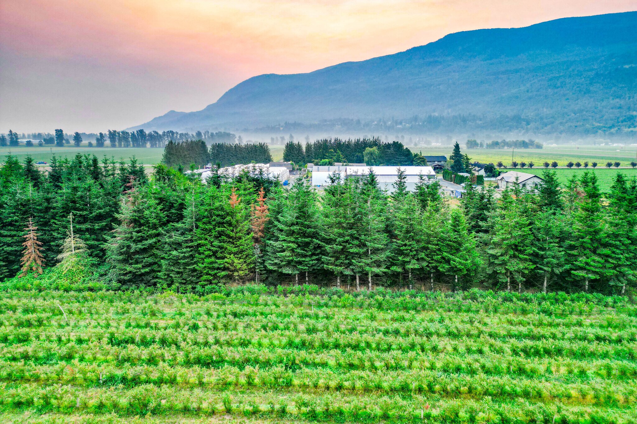 3387 Tolmie Rd, Abbotsford, BC à vendre Photo principale- Image 1 de 48