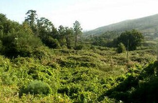 Plus de détails pour Terrain à vendre