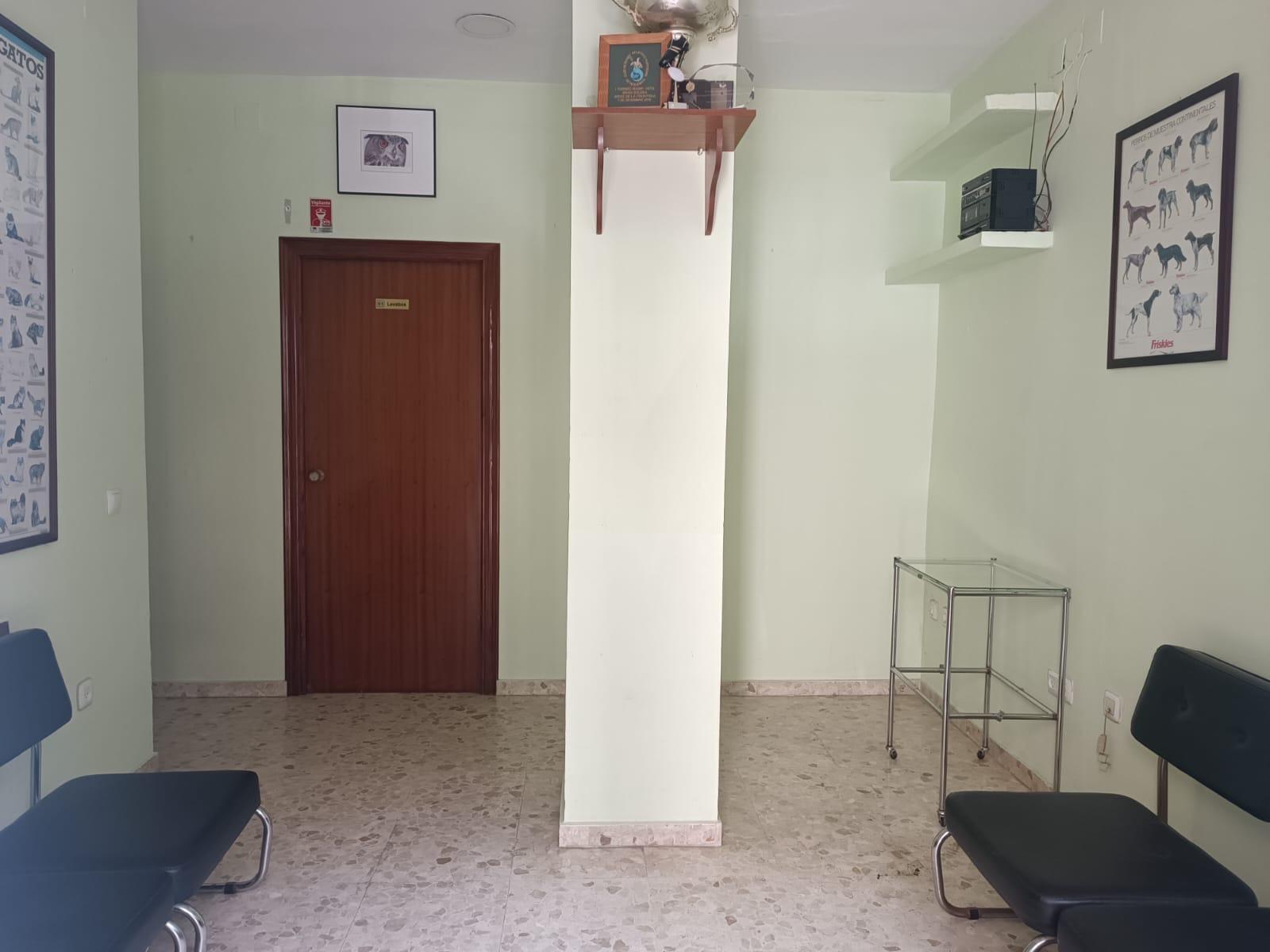 Retail in Córdoba, Córdoba for lease Interior Photo- Image 1 of 8
