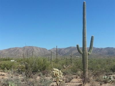 SW Sombrosa Drive & S Mule Deer Rd, Marana, AZ for sale - Primary Photo - Image 1 of 1