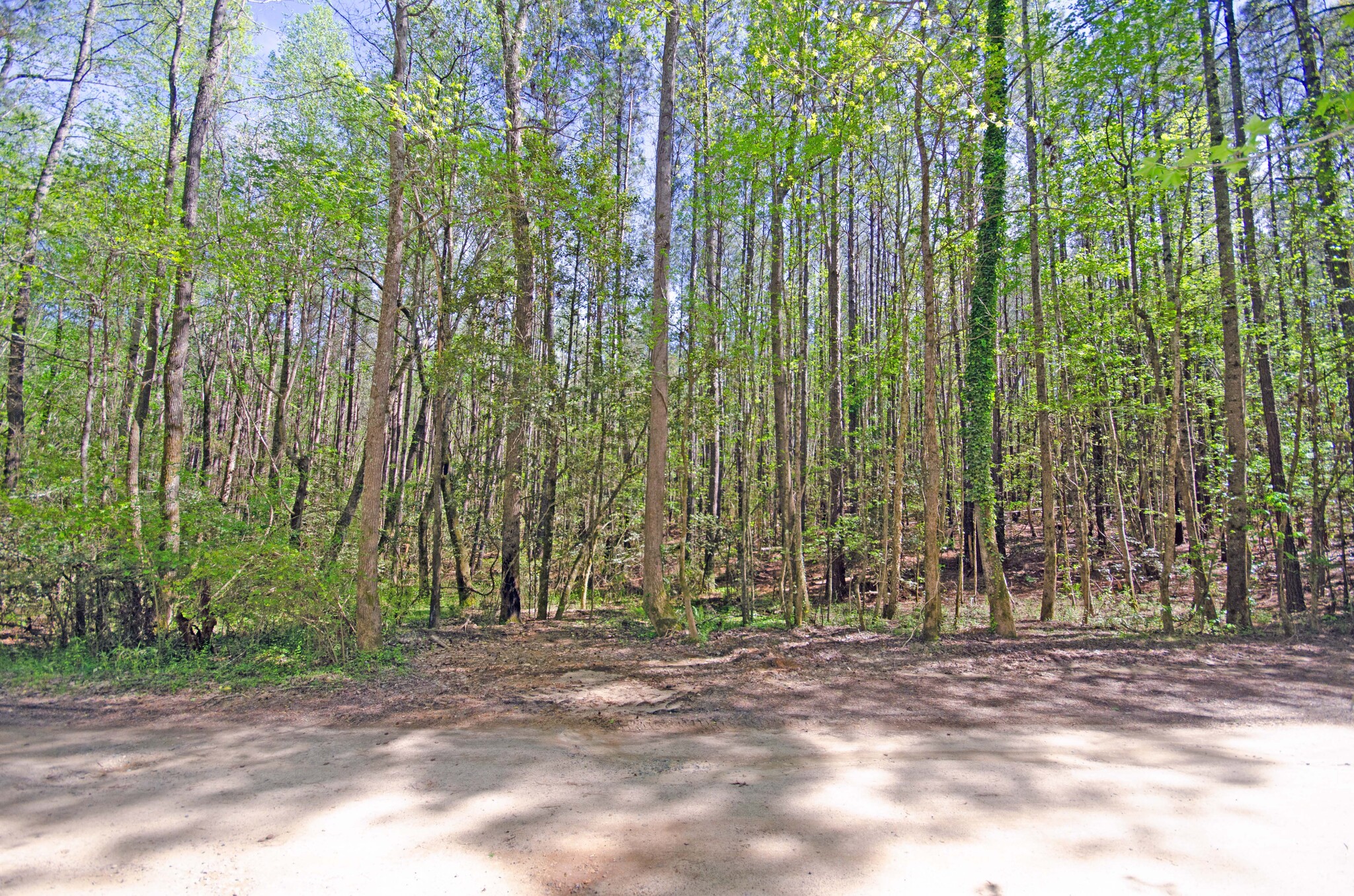 0 Border Lee Road, Cameron, NC à vendre Autre- Image 1 de 1