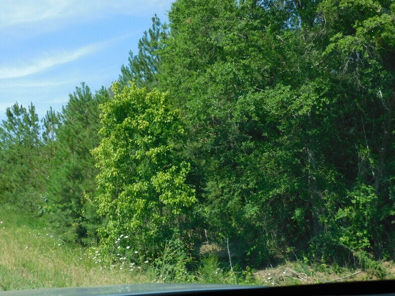 00 US- 31, Calera, AL à vendre - Autre - Image 2 de 2