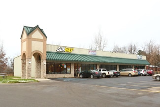 More details for Laingsburg Town Plaza Portfolio – Retail for Sale, Laingsburg, MI