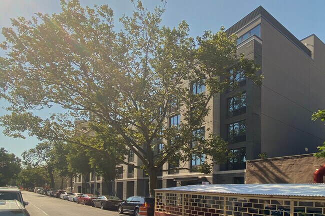 Plus de détails pour 834 Pacific St, Brooklyn, NY - Bureau/Médical à louer