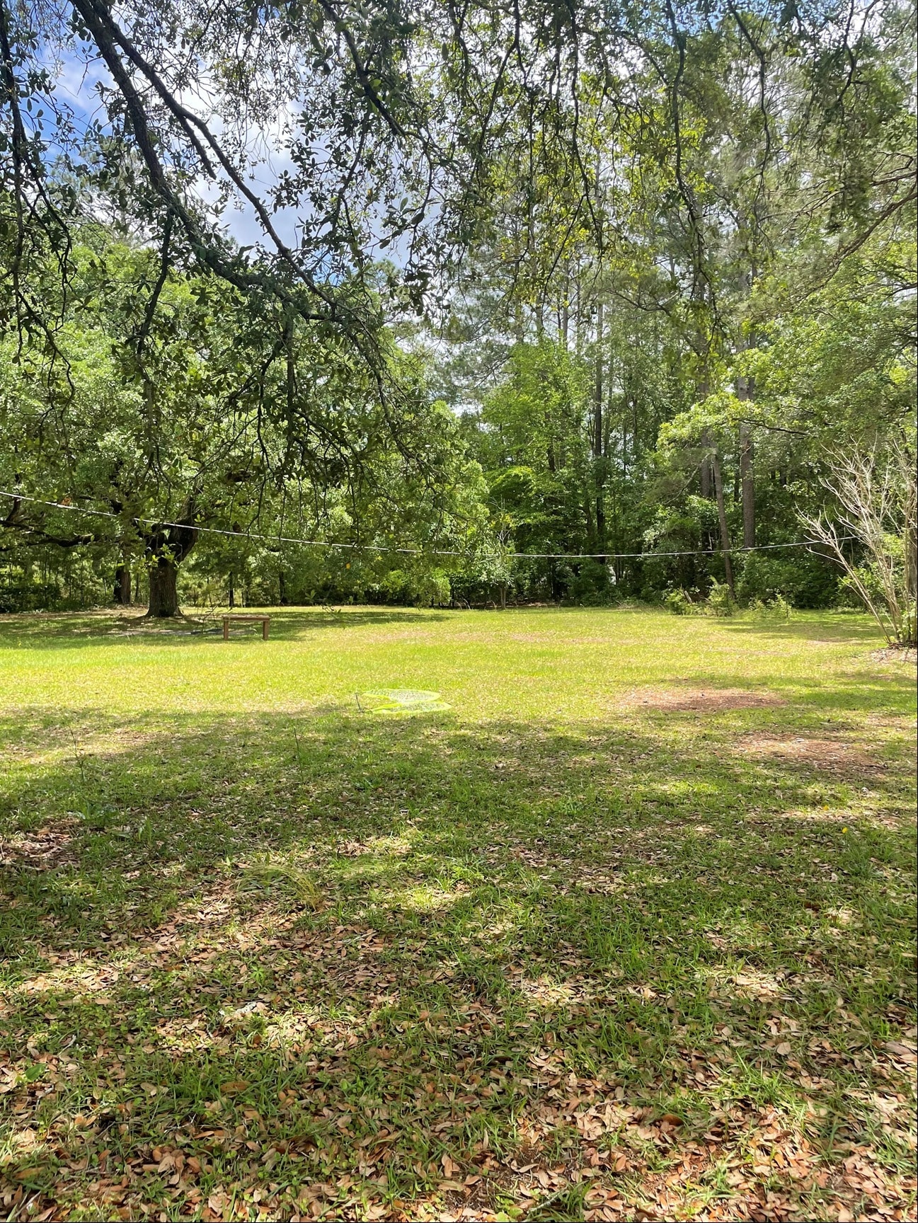 1810 GA Highway 21 S, Springfield, GA for lease Primary Photo- Image 1 of 3